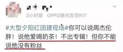 娱乐吃瓜报道文案,明星们背后的那些事儿
